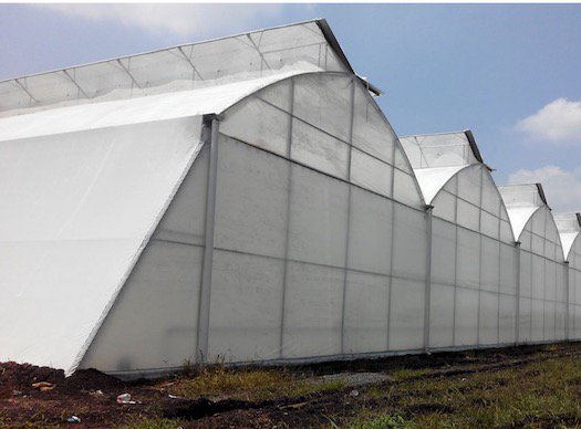 Invernador de Hidroalimentos